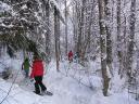 Snowshoeing path